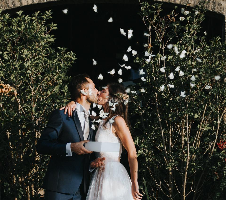 Papillons mariage